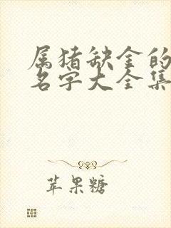 属猪缺金的男孩名字大全集