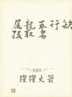 属龙五行缺火男孩取名