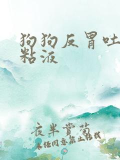 狗狗反胃吐白色粘液