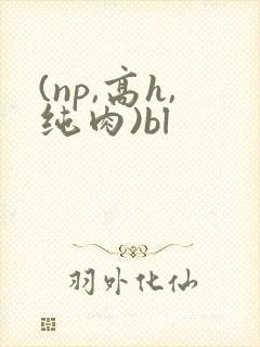 (np,高h,纯肉)bl