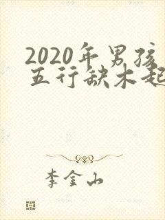 2020年男孩五行缺木起名