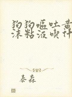 狗狗呕吐黄色泡沫粘液吃什么药