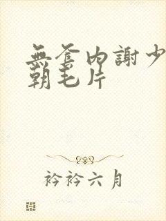 无套内谢少妇高朝毛片