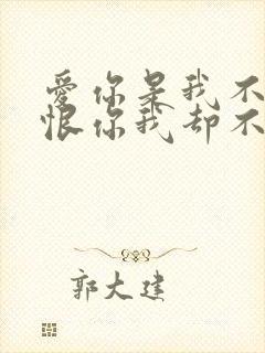 爱你是我不小心恨你我却不忍心是什么歌