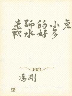 老师的小兔子好软水好多