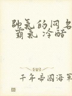 帅气的网名男生 霸气 冷酷