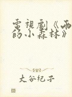 电视剧《两个人的小森林》