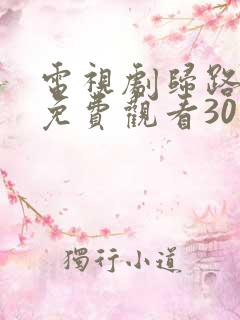 电视剧归路全集免费观看30集高清