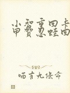 小智重回卡洛斯甲贺忍蛙回归