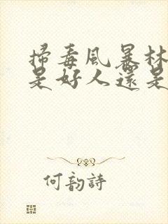 扫毒风暴林强峰是好人还是坏人