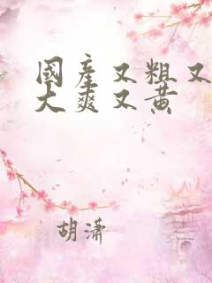 国产又粗又猛又大爽又黄