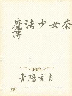 魔法少女奈叶外传