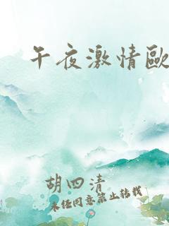 午夜激情欧美片