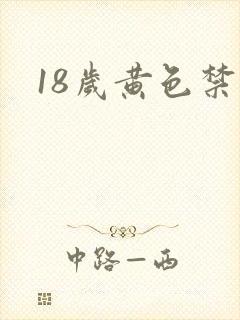 18岁黄色禁片