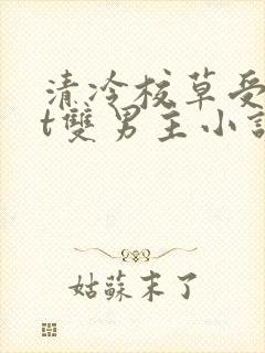 清冷校草受txt双男主小说推荐文完结