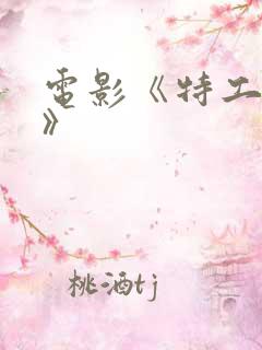 电影《特工绍特》