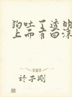 狗吐了透明粘液上面有白沫