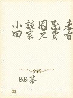 小说国民老公带回家免费看