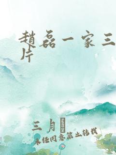 赵磊一家三口照片