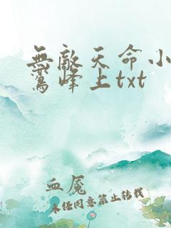 无敌天命小说青鸾峰上txt