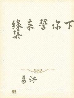 缘来誓你下载全集