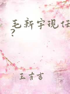 毛新宇现任何职?