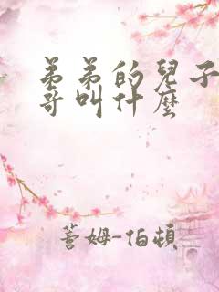 弟弟的儿子叫哥哥叫什么