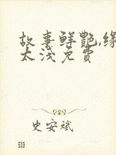 故事鲜艳,缘分太浅免费