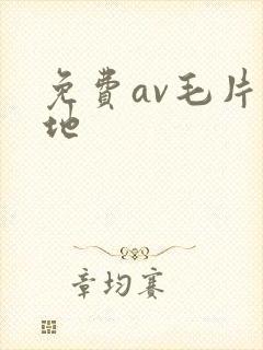 免费av毛片基地