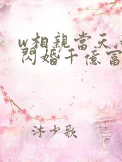 w相亲当天,我闪婚千亿富豪》
