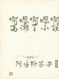 啊嗯啊嗯啊嗯啊高潮了小说