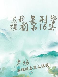 《我是刑警》电视剧第16集