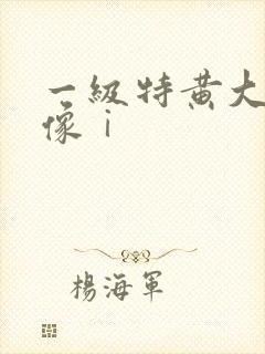 一级特黄大片录像ⅰ