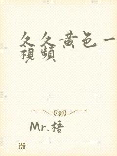 久久黄色一级片视频