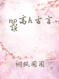 np高h古言小说