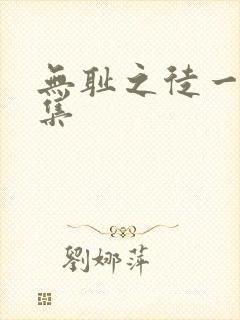 无耻之徒一共几集