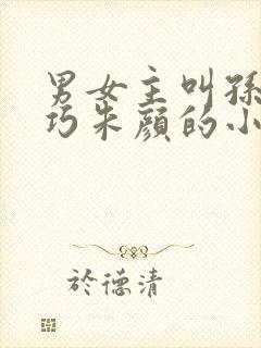 男女主叫孙哲叶巧朱颜的小说