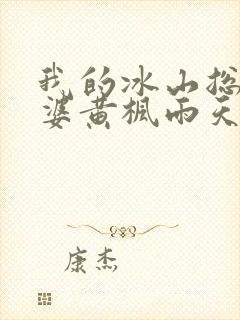 我的冰山总裁老婆黄枫雨天 小说