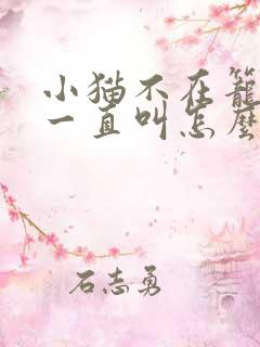 小猫不在笼子里一直叫怎么办