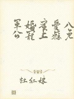 军婚蜜爱八零老公宠上瘾免费阅读