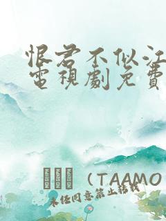 恨君不似江楼月电视剧免费观看全集