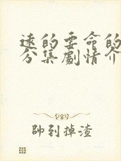 远的要命的爱情分集剧情介绍