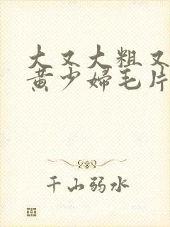 大又大粗又爽又黄少妇毛片口