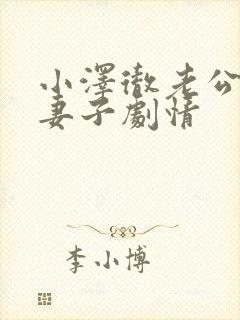 小泽彻老公原谅妻子剧情