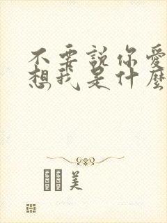 不要说你爱我你想我是什么歌名