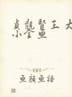 贞观贤王 大眼小金鱼