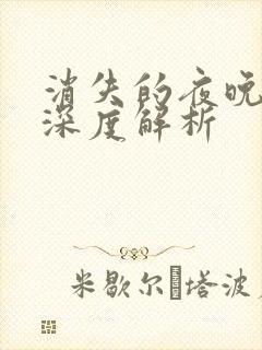 消失的夜晚剧情深度解析