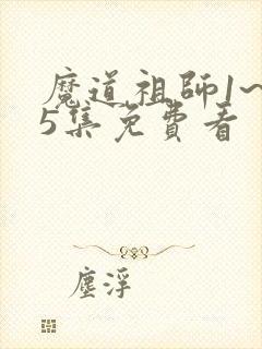 魔道祖师1~35集免费看