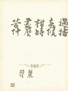 苦尽柑来遇见你什么时候播出