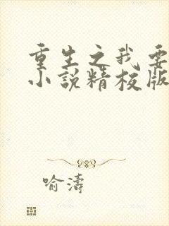 重生之我要冲浪小说精校版全集txt